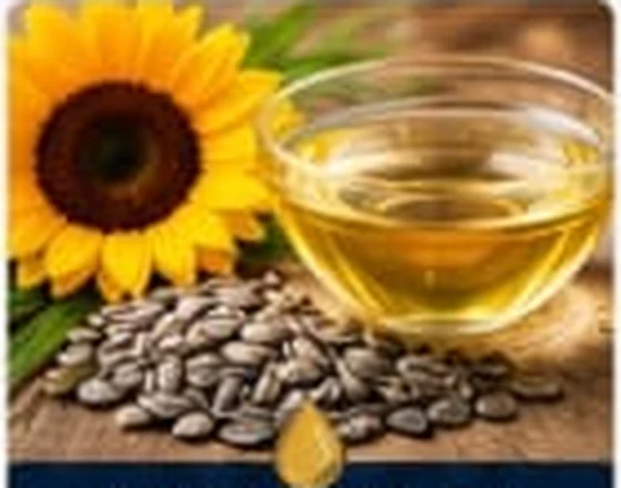 Supplied product photograph representing Sunflower Oil